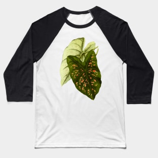 Caladium Freckles - botanical illustration Baseball T-Shirt